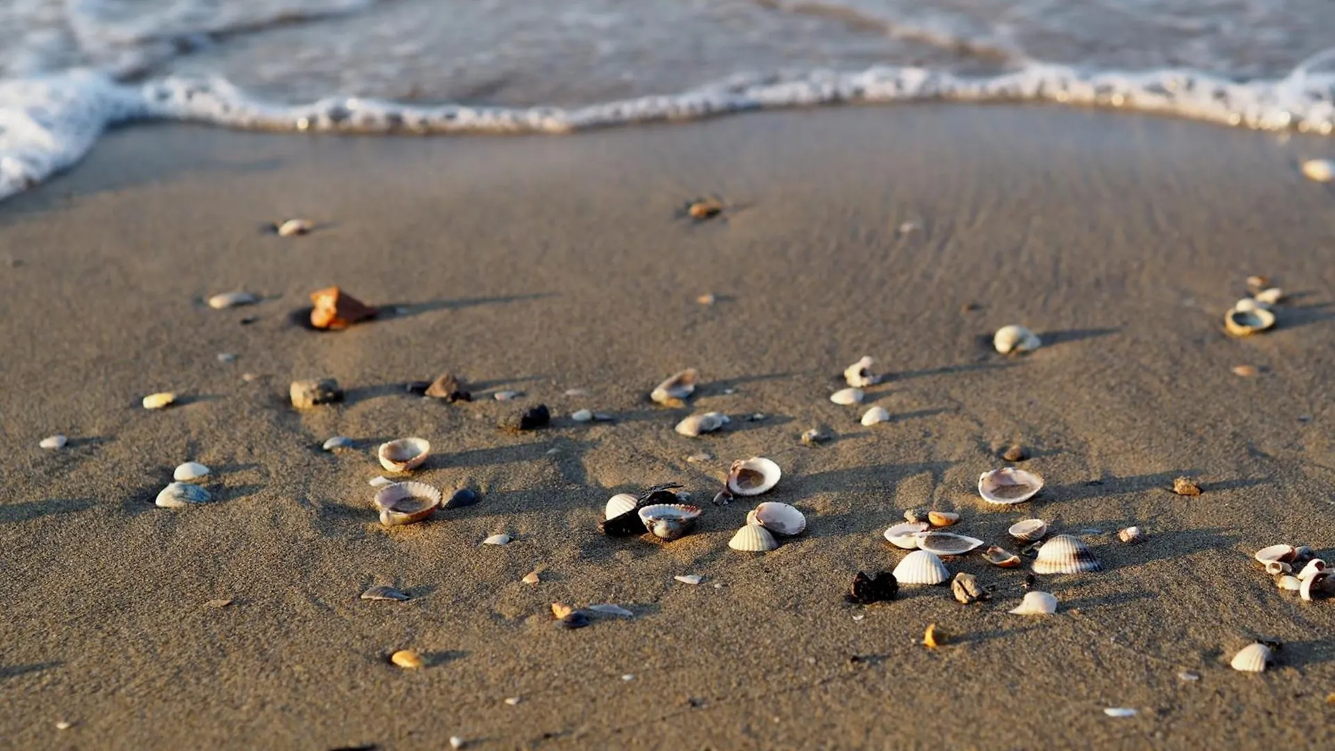 Apartment Welcoming Seaside Flat Ideal For 6 Guests Bibione Italy